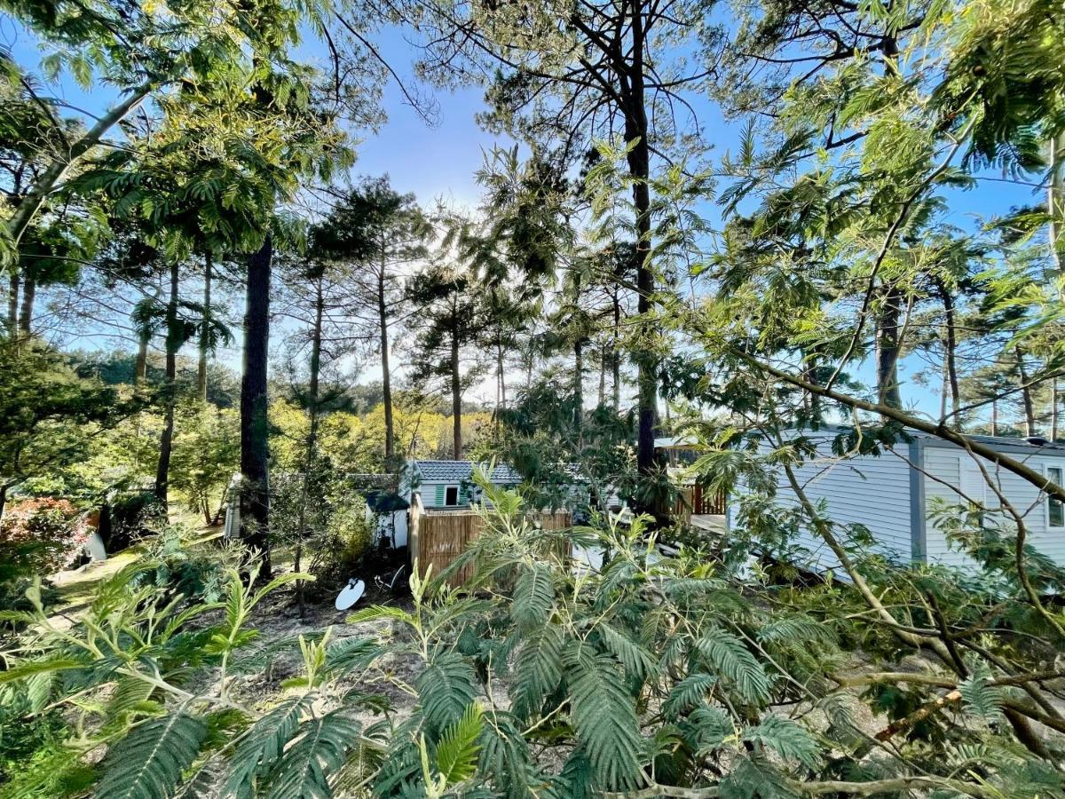 Tiny House Famille Nature Cap Ferret Claouey المظهر الخارجي الصورة