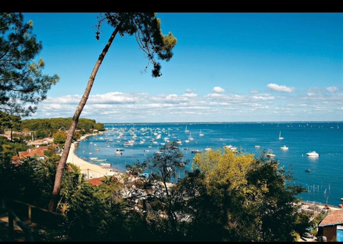 Tiny House Famille Nature Cap Ferret Claouey المظهر الخارجي الصورة