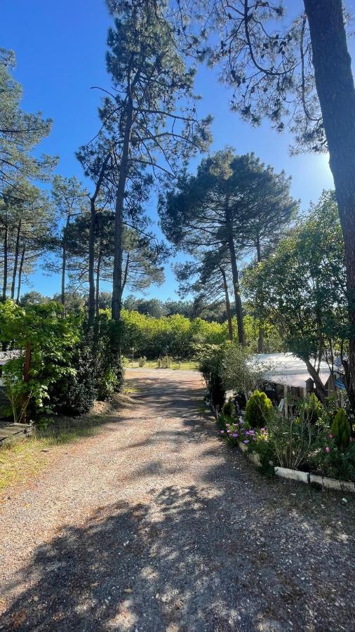 Tiny House Famille Nature Cap Ferret Claouey المظهر الخارجي الصورة